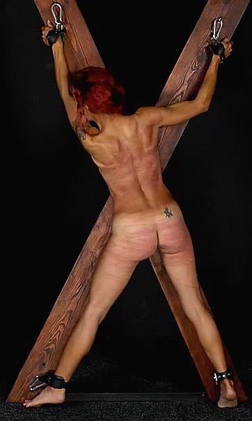 Painful punishment whip